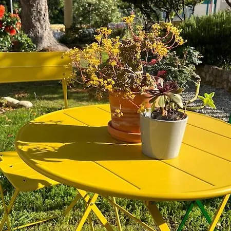 Exceptionnel Belle Epoque Avec Grande Terrasse Plein Sud アパート