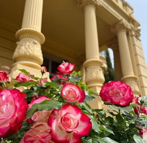 Exceptionnel Belle Epoque Avec Grande Terrasse Plein Sud *